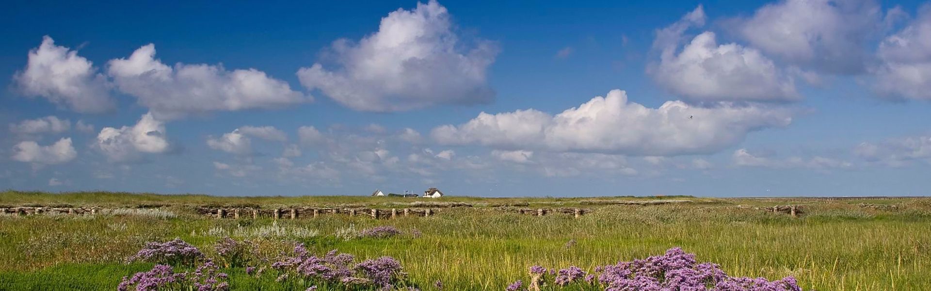 Halligkroog auf der Hamburger Hallig