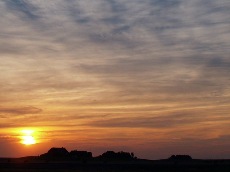 Die Halligwelt entdecken - Halligen im Überblick