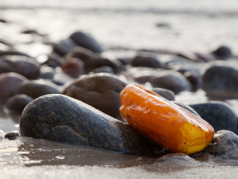 Bernstein am Strand zwischen dunklen Kieselsteinen